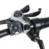 C01 Electric mountain bike with a 48 V, 20 Ah lithium-ion battery, capable of delivering 150 N·m of torque; aluminum double-arm front fork,