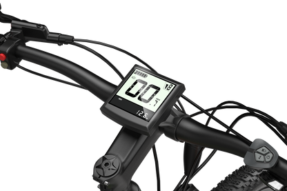 CM520 Electric Bike 48V LCD Display
