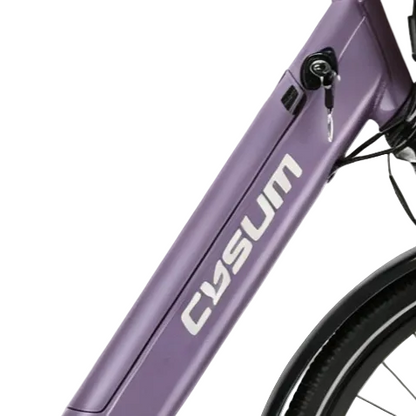 Cysum X-City electric bicycle battery, spare battery, 48V*10.4ah