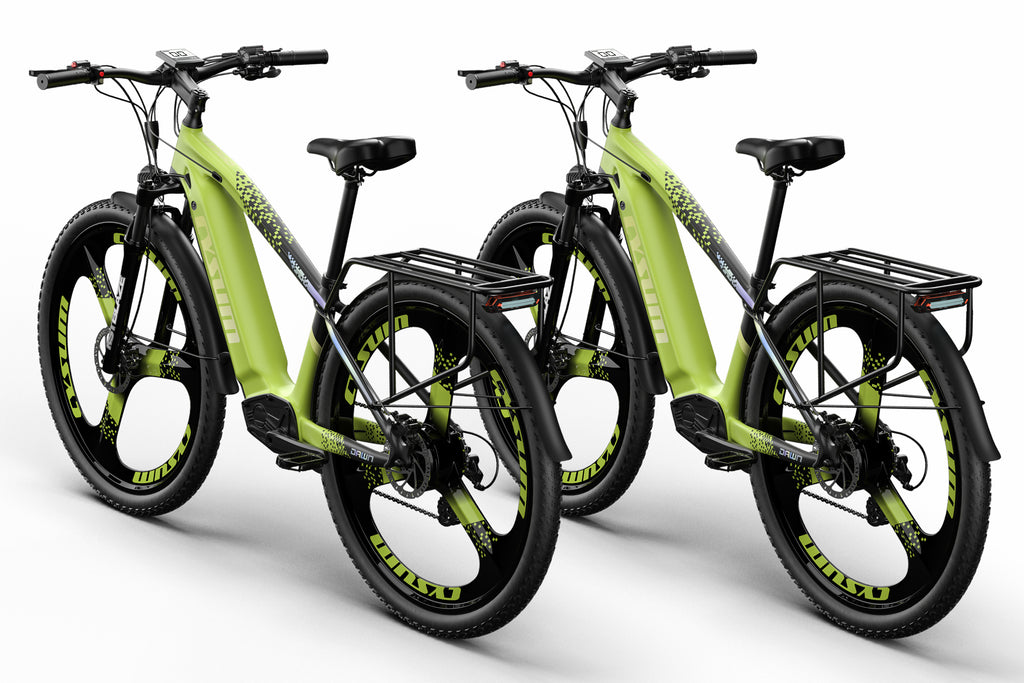 Cysum M520 Electric Bike*2  29'' Offroad Commuter Bike,Including a Spare Battery