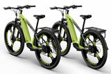 Cysum Speedy （M520） Electric Bike*2  29'' Offroad Commuter Bike,Including a Spare Battery