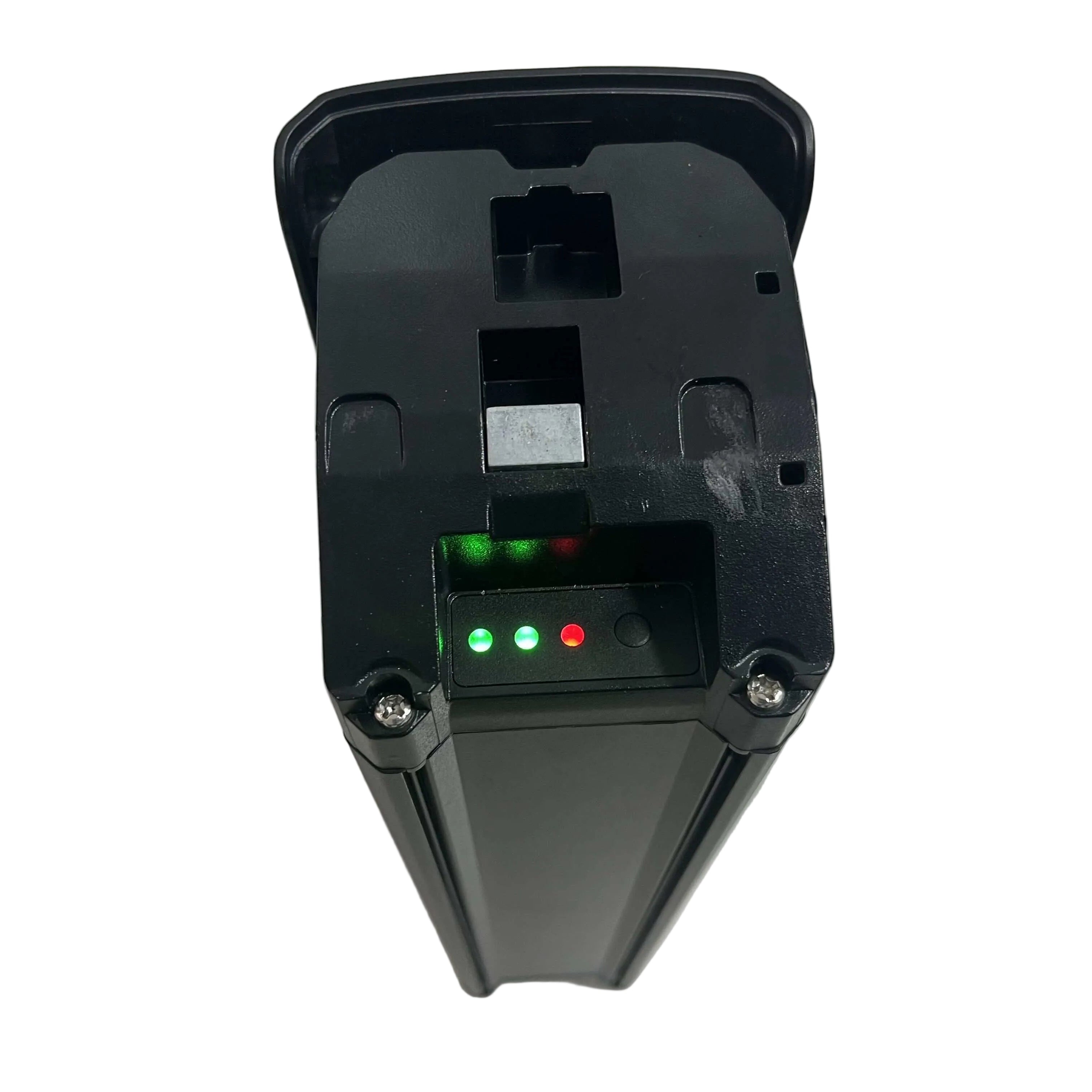Lithium Battery 48v 20Ah for dual-motor electric bike Rich Bit C01
