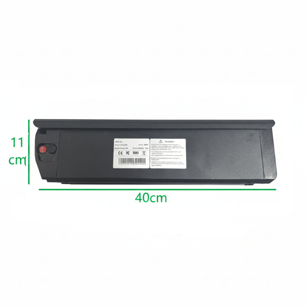 Lithium Battery 48v 20Ah for dual-motor electric bike Rich Bit C01