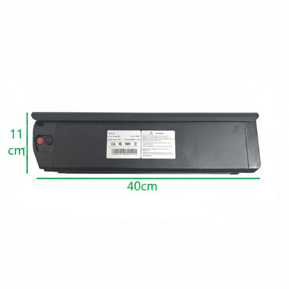 Lithium Battery 48v 20Ah for dual-motor electric bike Rich Bit C01