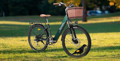 CTR Green Front Frame (Front Arm)