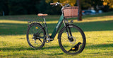CTR Green Front Frame (Front Arm)
