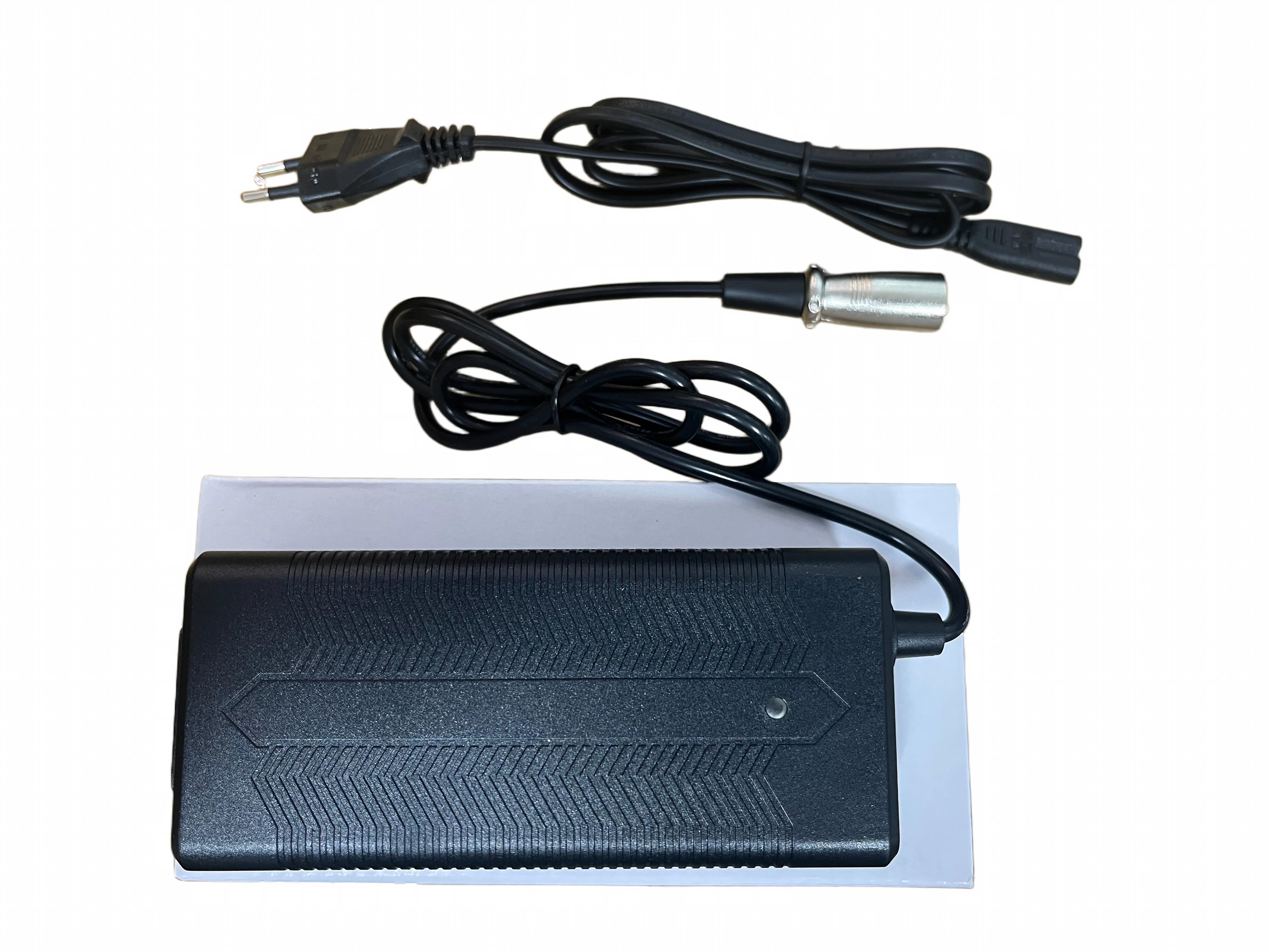 Smart Charger 48V for RIch Bit V9 Ultra Electric Eike