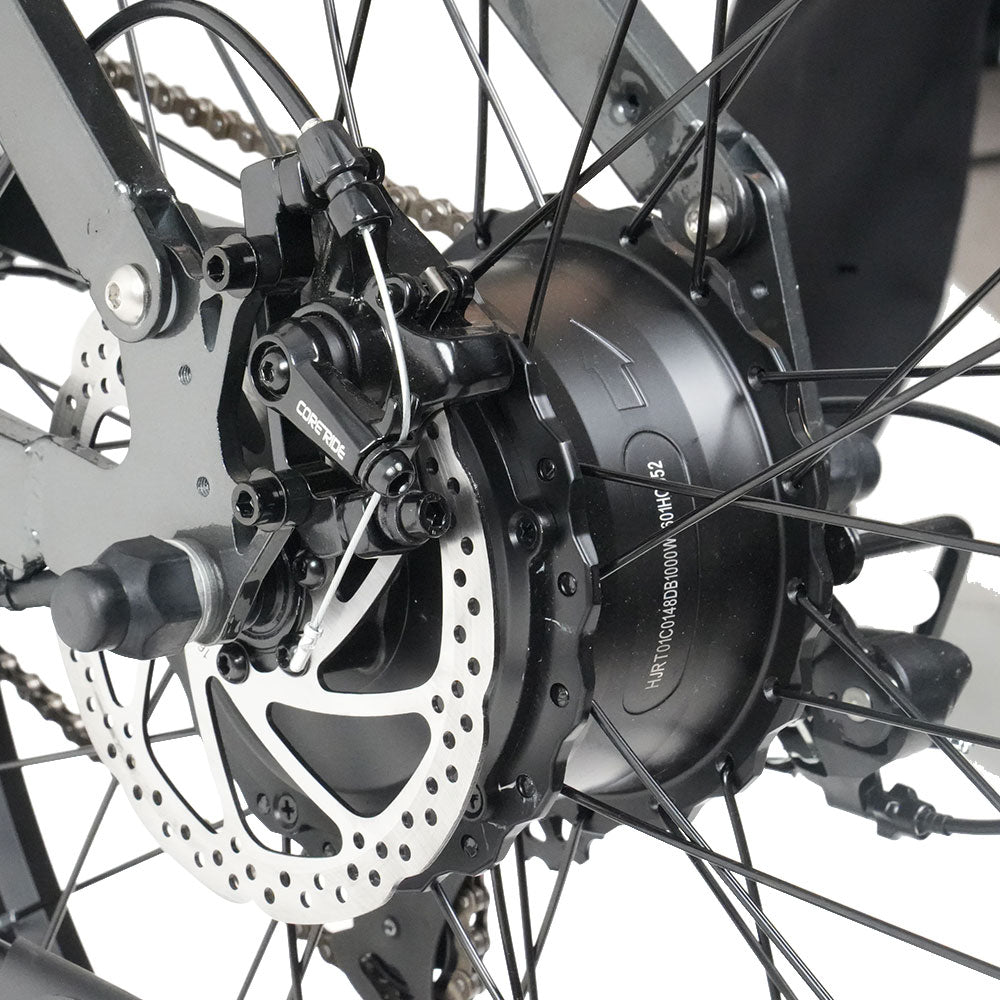 RICH BIT C01 Dual Motor Electric Mountain Bike