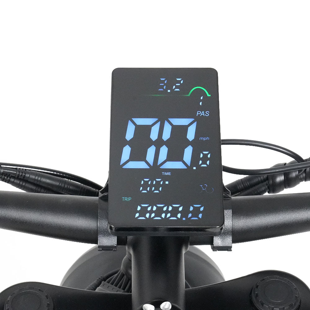 RICH BIT C01 Dual Motor Electric Mountain Bike