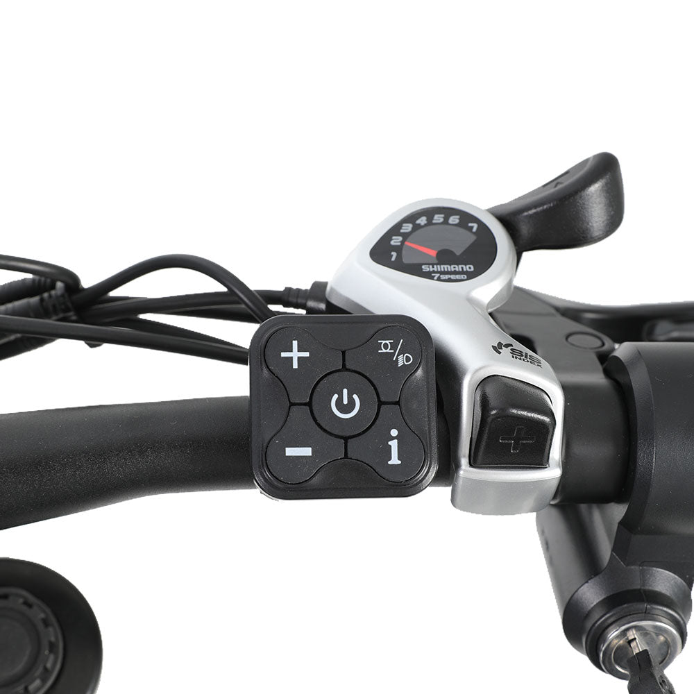 RICH BIT C01 Dual Motor Electric Mountain Bike