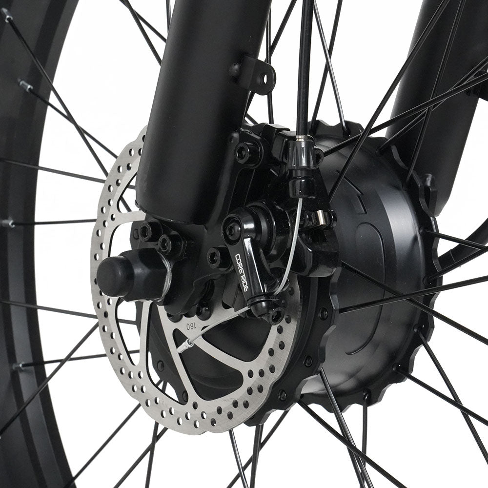 RICH BIT C01 Dual Motor Electric Mountain Bike