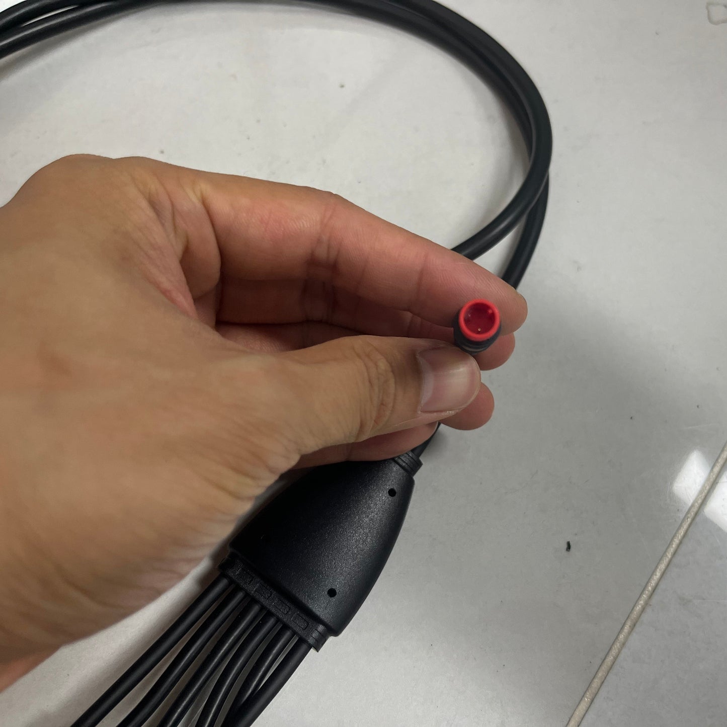 Main Wiring Harness For Rich Bit V9 Ultra Off Road Electric Bike