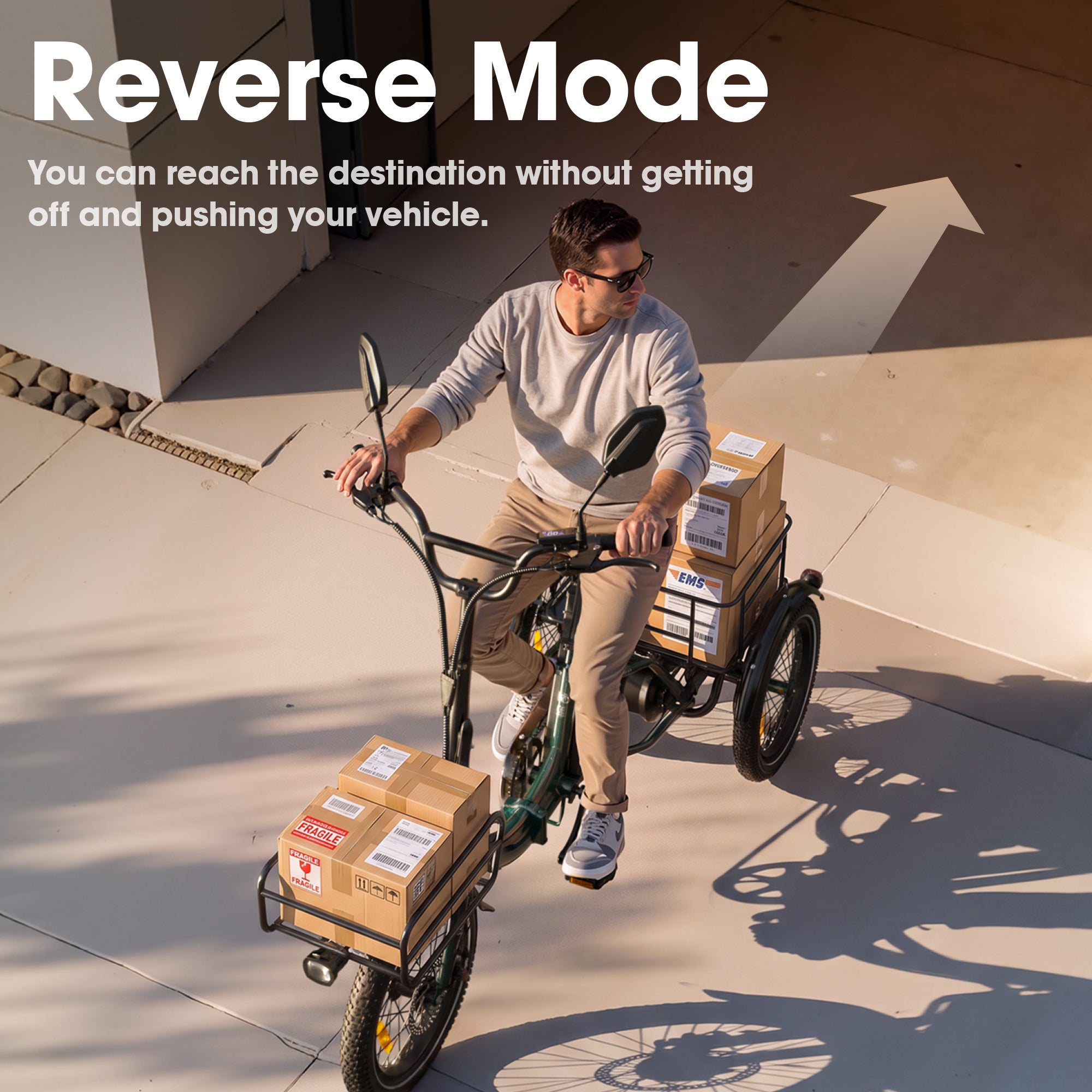 Niloxer KA1 Foldable Electric Tricycle for Adults & Seniors